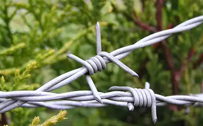 GI Barbed Wire