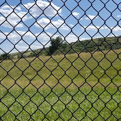 chain link fences